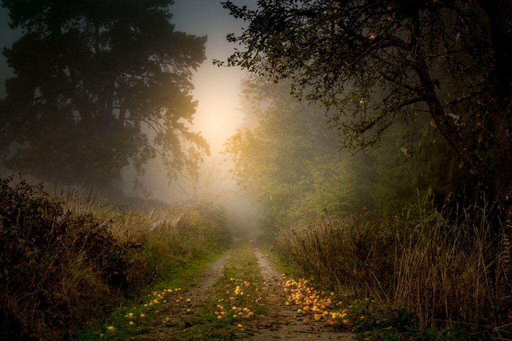 届かぬ想い、輝きに変えて　片思いを成就させるスピリチュアルなヒント